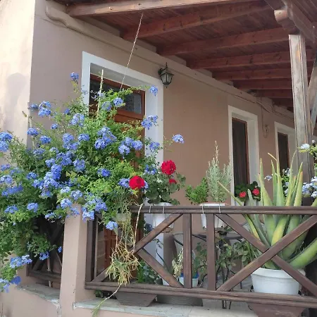 Plumbago Theologos (Thasos)